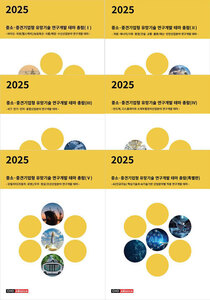 2025년 중소·중견기업형 유망기술 연구개발 테마 총람(Ⅰ,Ⅱ, Ⅲ, Ⅳ, Ⅴ, 특별판 세트)
