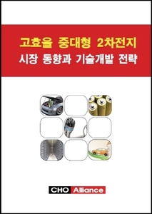 고효율 중대형 2차전지 시장동향과 기술개발 전략