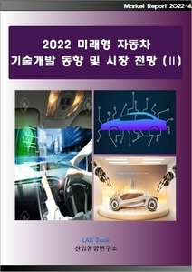 2022 미래형 자동차 기술개발 동향 및 시장 전망 (Ⅱ)