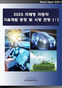 2025 미래형 자동차 기술개발 동향 및 시장전망 (Ⅰ)