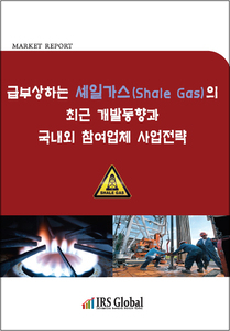 급부상하는 셰일가스(Shale Gas)의 최근 개발동향과 국내외 참여업체 사업전략