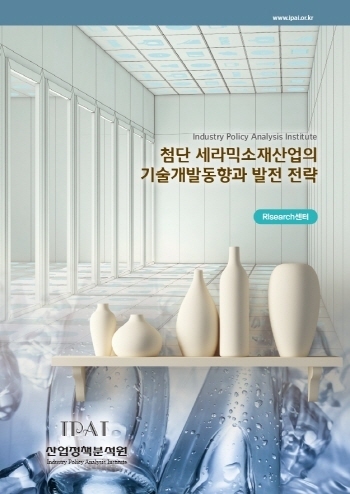 첨단 세라믹소재산업의 기술개발동향과 발전 전략