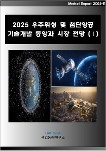 2025 우주위성 및 첨단항공 기술개발 동향과 시장 전망 (Ⅰ)