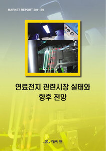 연료전지 관련시장 실태와 향후 전망