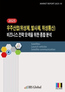 2025 우주산업(위성체, 발사체, 위성통신) 비즈니스 전략 모색을 위한 종합 분석